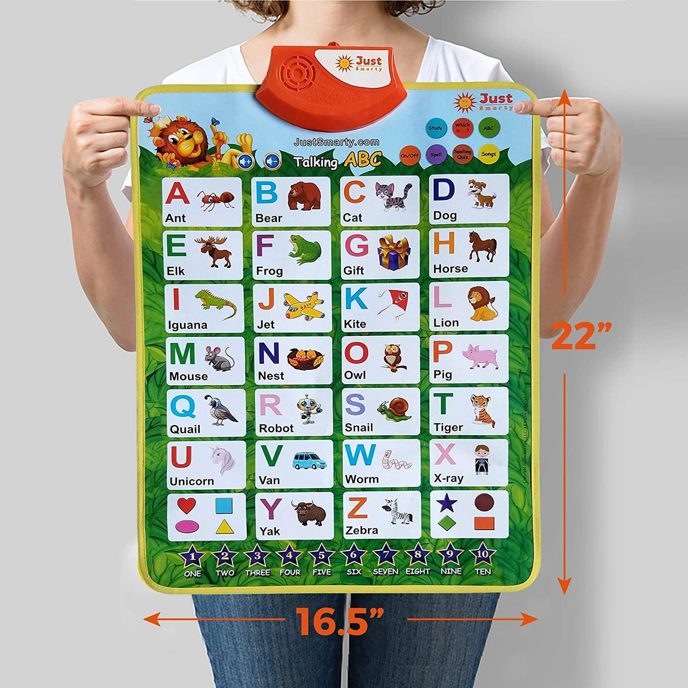 Just Smarty Interactive ABCs and 123s Learning Poster, Green